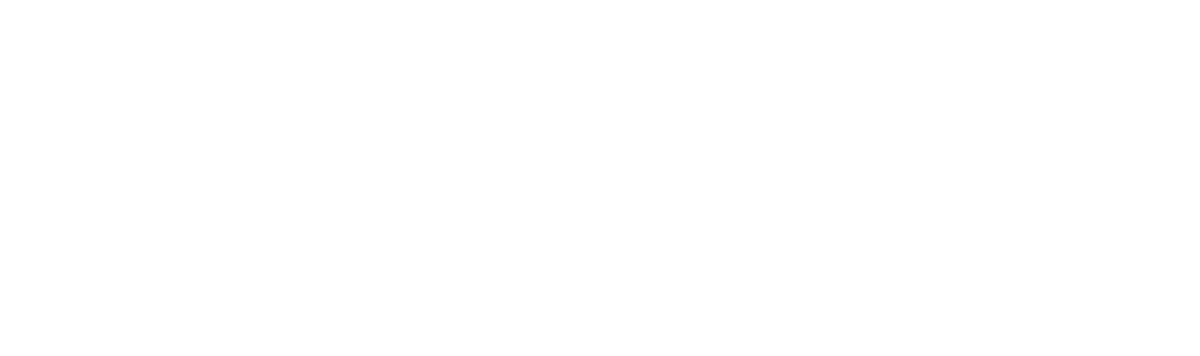 Braid Theory